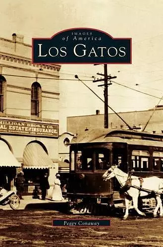 Los Gatos cover