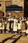 Cleveland's Little Italy cover