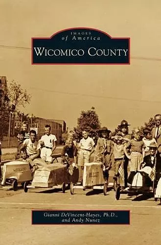 Wicomico County cover