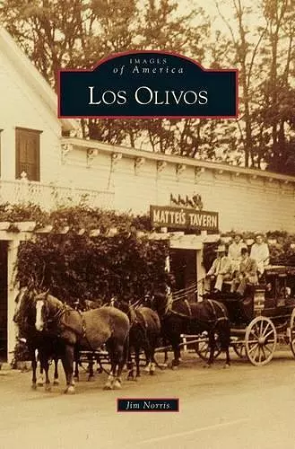 Los Olivos cover