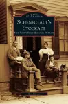 Schenectady's Stockade cover