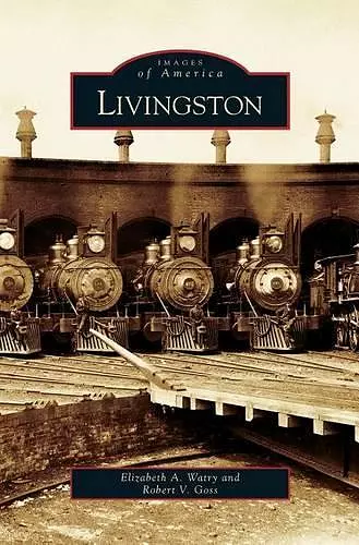 Livingston cover