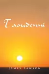 Taoudenni cover