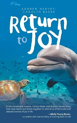 Return to Joy cover