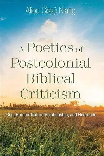 A Poetics of Postcolonial Biblical Criticism cover