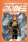 Codename: G.I. Joe Deluxe Edition Book Two cover