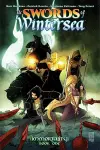 The Swords of Wintersea Book One - PC cover