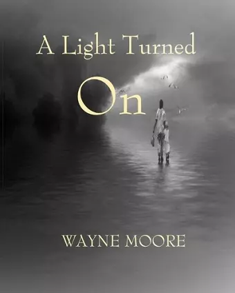 A Light Turned On cover