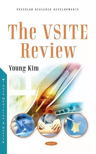 The VSITE Review cover