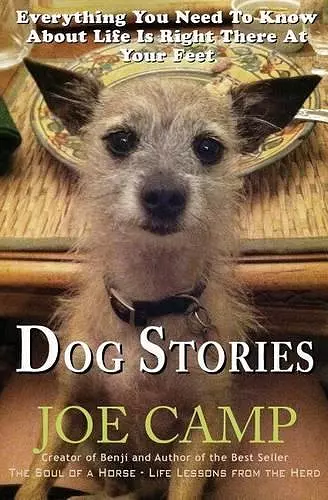 Dog Stories cover