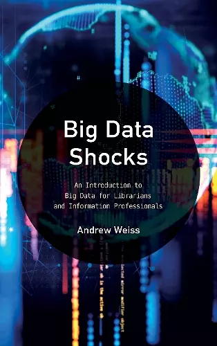 Big Data Shocks cover