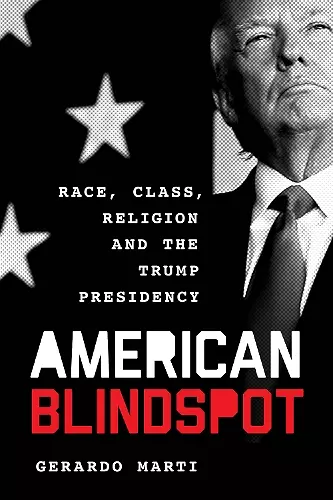 American Blindspot cover