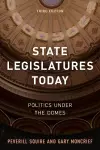 State Legislatures Today cover