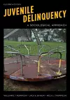 Juvenile Delinquency cover