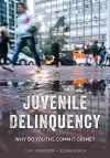 Juvenile Delinquency cover