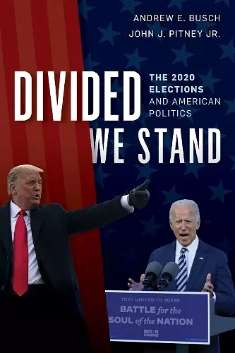 Divided We Stand cover