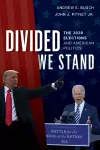 Divided We Stand cover