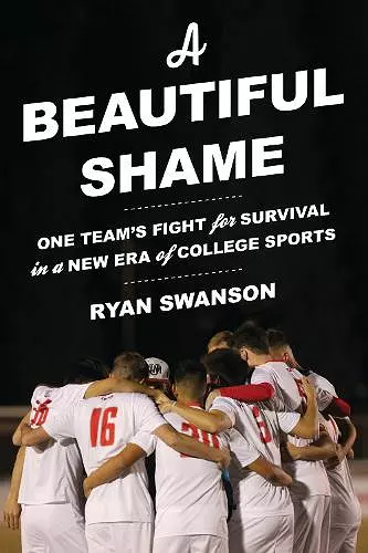 A Beautiful Shame cover