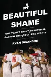 A Beautiful Shame cover