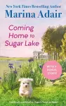 Coming Home to Sugar Lake (previously published as Sugar’s Twice as Sweet) cover