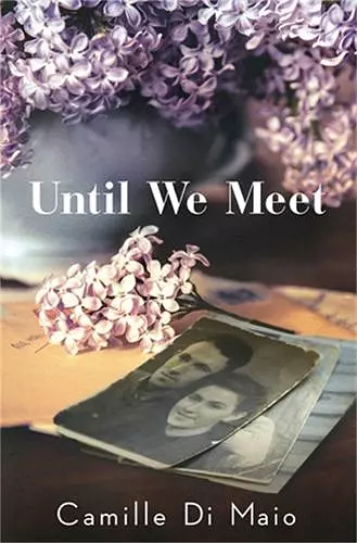 Until We Meet cover