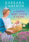 The Amish Baby Finds a Home cover