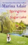 Springtime in Sugar Lake (previously published as Sugar on Top) cover