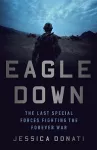 Eagle Down cover