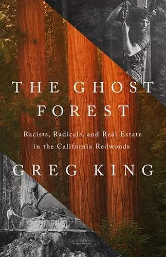 The Ghost Forest cover