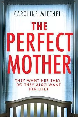 The Perfect Mother cover