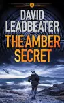 The Amber Secret cover