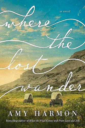 Where the Lost Wander cover