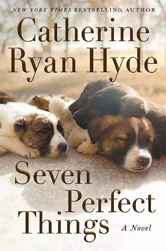 Seven Perfect Things cover