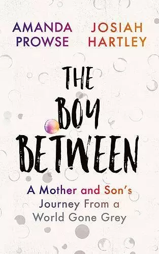 The Boy Between cover