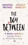 The Boy Between cover