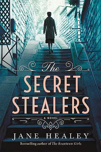 The Secret Stealers cover