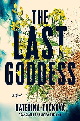 The Last Goddess cover