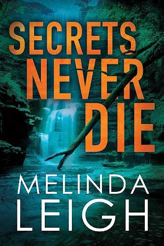 Secrets Never Die cover