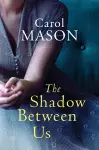 The Shadow Between Us cover