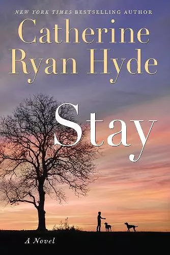 Stay cover