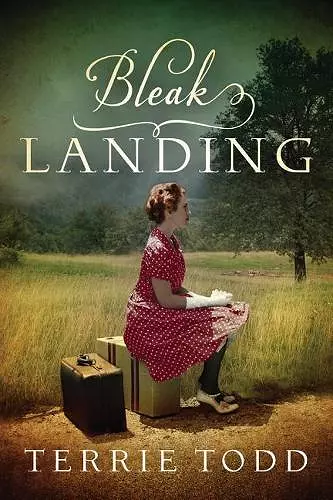 Bleak Landing cover