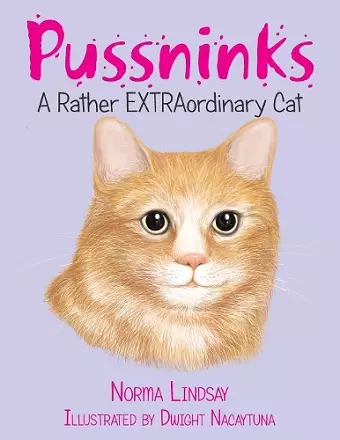 Pussninks cover