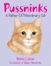 Pussninks cover