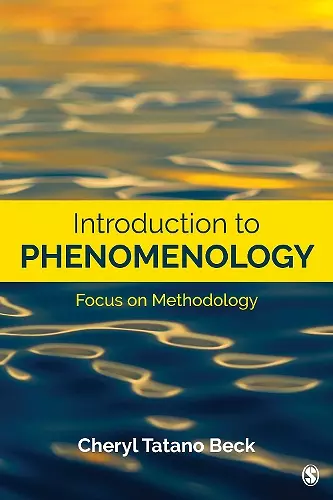 Introduction to Phenomenology cover