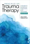 Principles of Trauma Therapy cover