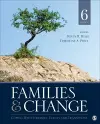 Families & Change cover