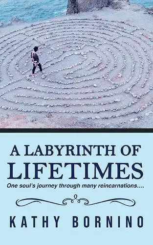 A Labyrinth of Lifetimes cover