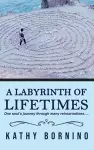 A Labyrinth of Lifetimes cover