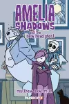 Amelia Shadows and the New Head Ghost cover