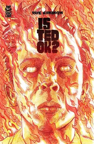 Is Ted OK? cover